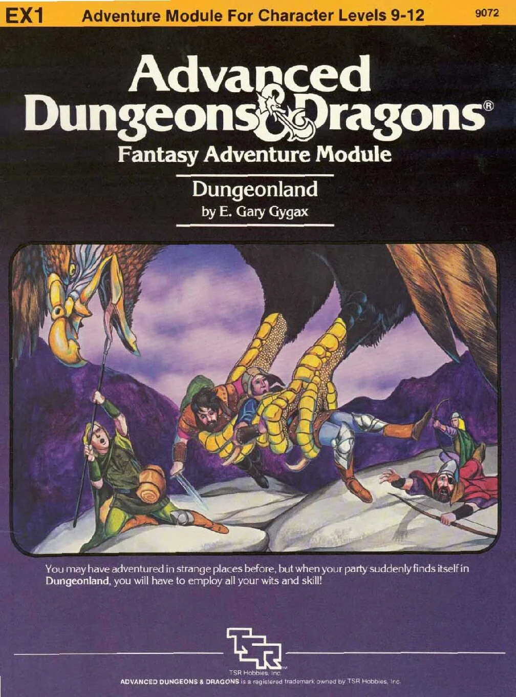 EX1 - Dungeonland